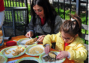 making bird feeder